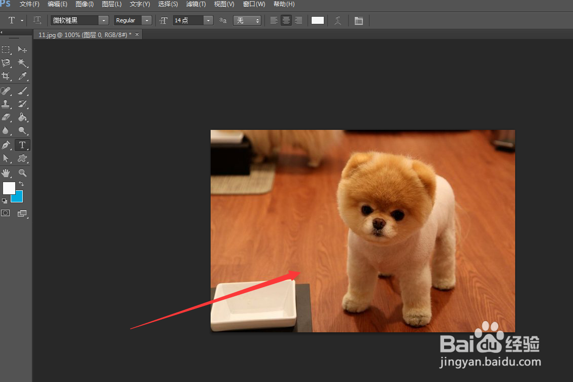 ps填充背景色怎么弄?