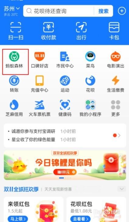 支付宝蚂蚁森林合种数如何开启好友可见