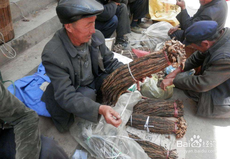 怎样辨别旱烟的好坏