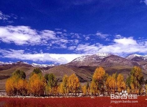 在中国，按月份去旅游