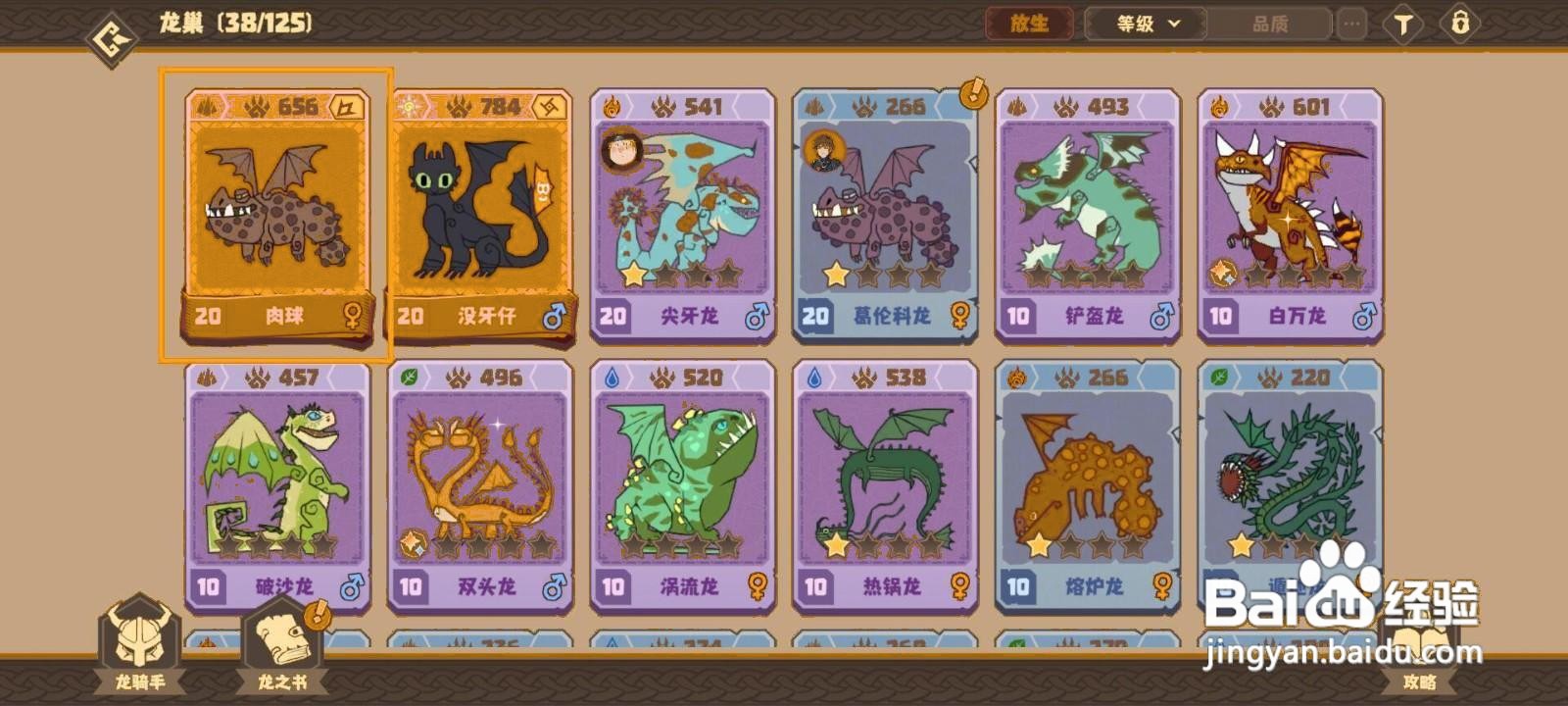 如何为驯龙高手旅程肉球穿戴珍宝？