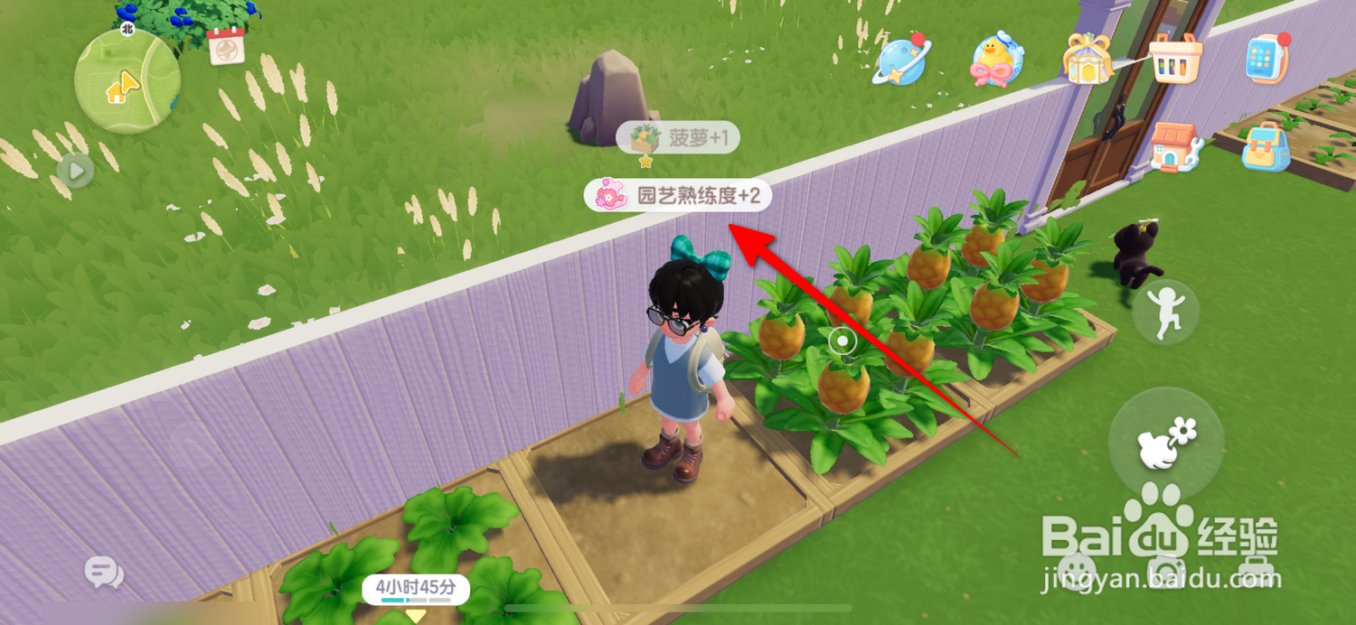 心动小镇怎么获得园艺熟练度