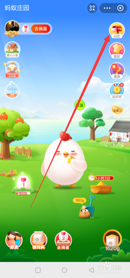 蚂蚁庄园在哪领取村长小鸡？