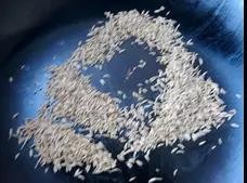 爆炒孜然羊肉的做法