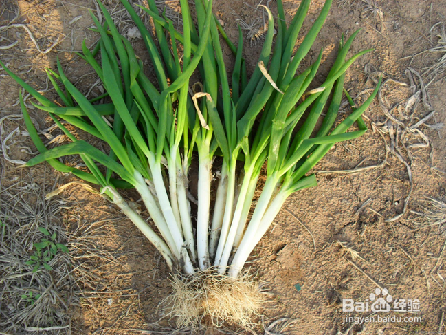 哪些食物不能混着吃