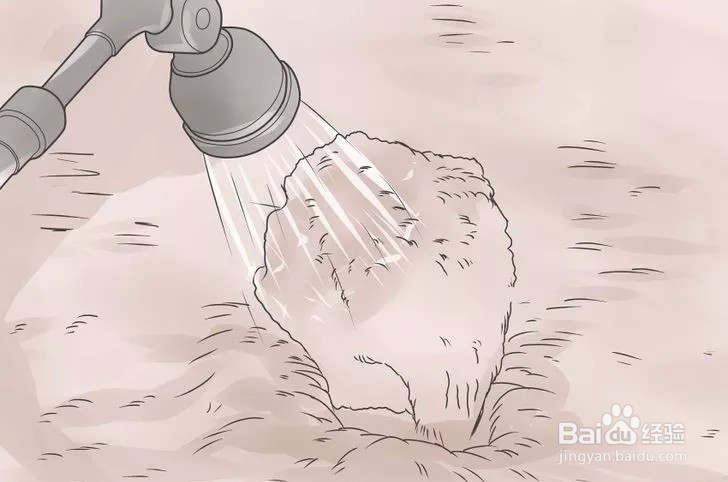 如何栽种凤仙花?