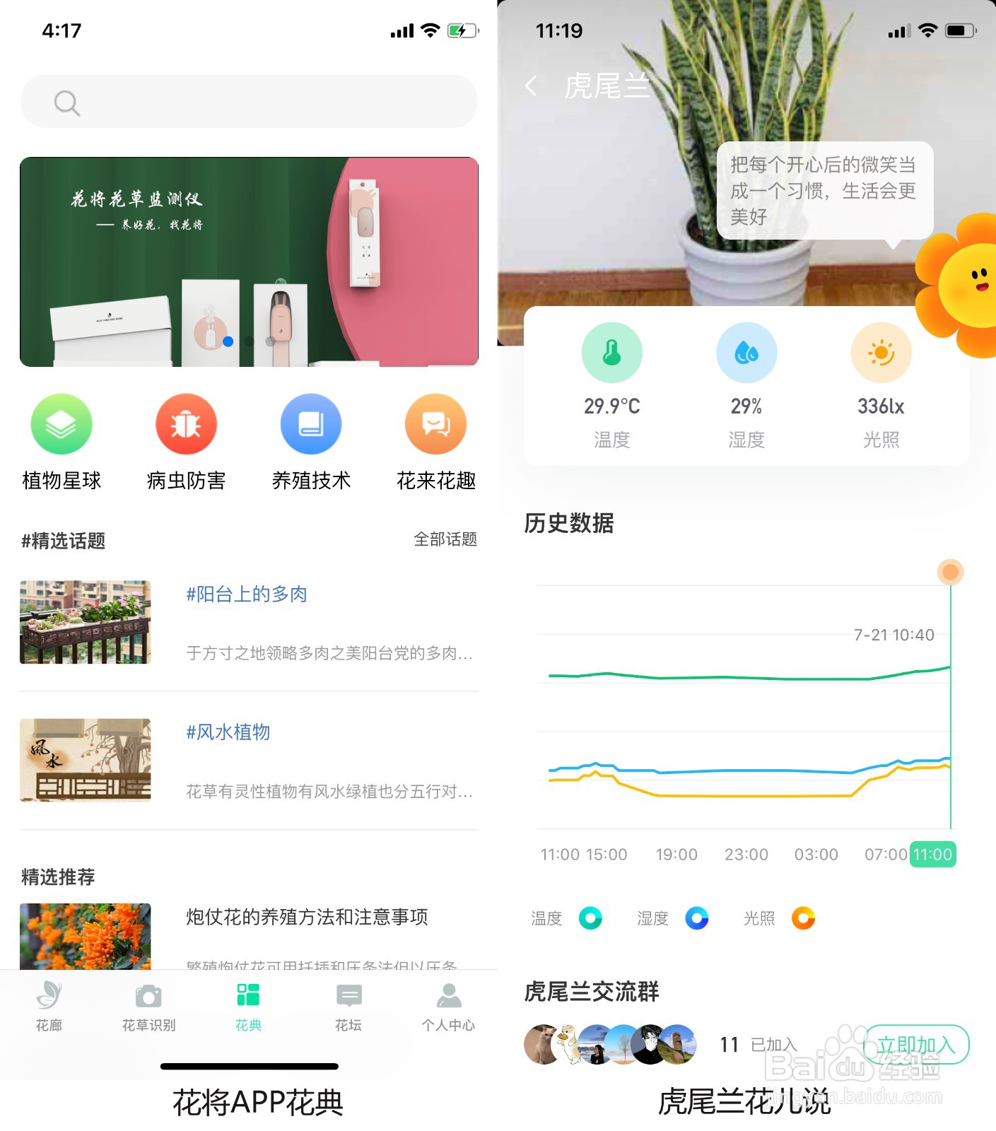 用花将花草监测仪养殖虎尾兰的方法和注意事项