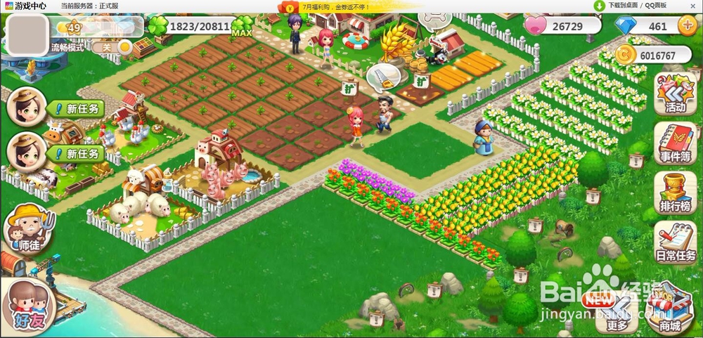 怎样购买植物向日葵？