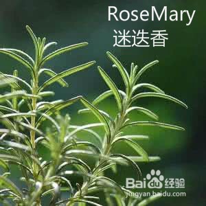 做面包、蛋糕、饼干需要什么食材呢?