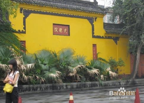 在时间紧急的情况下来成都旅游的攻略