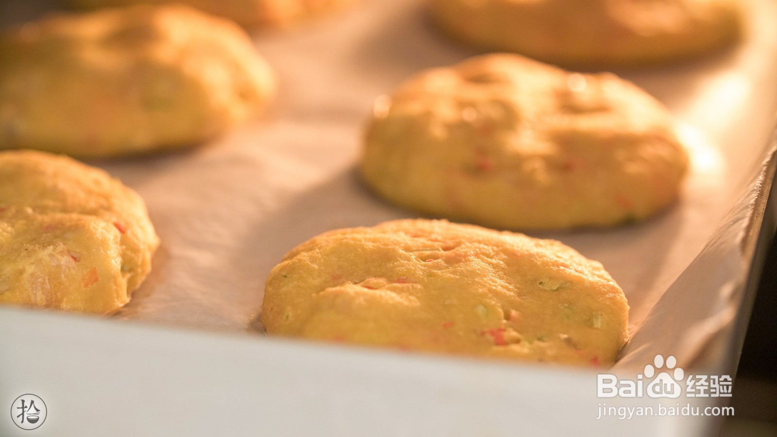 鸡肉虾皮蔬菜饼