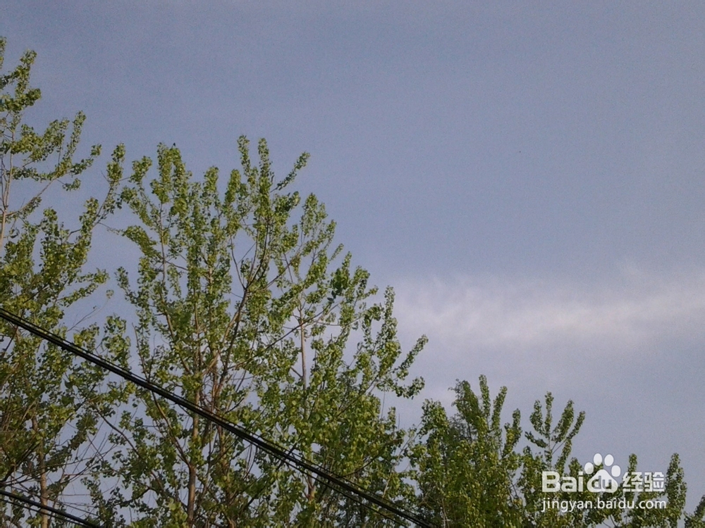 拍客的练成之风景如画系列(二)