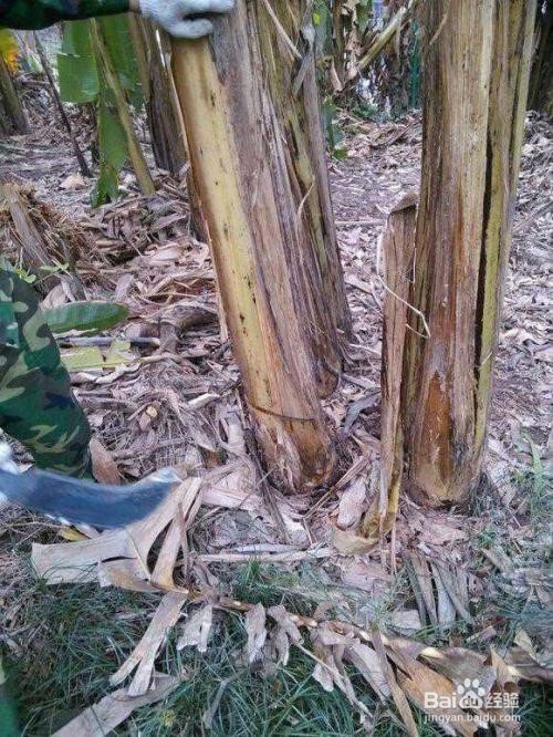 高血压方法大全
