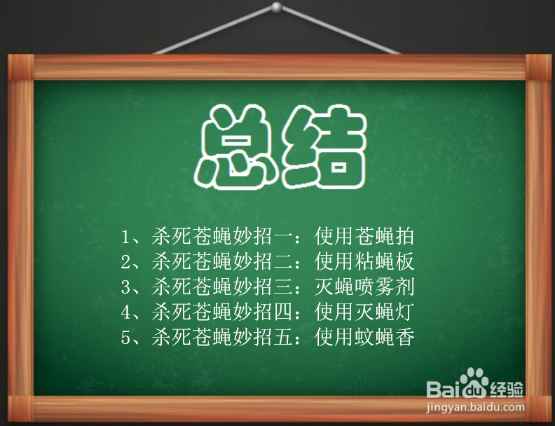 如何杀死苍蝇