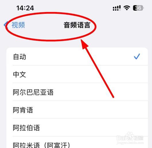 iPhone14如何设置音频语音为阿姆哈拉语