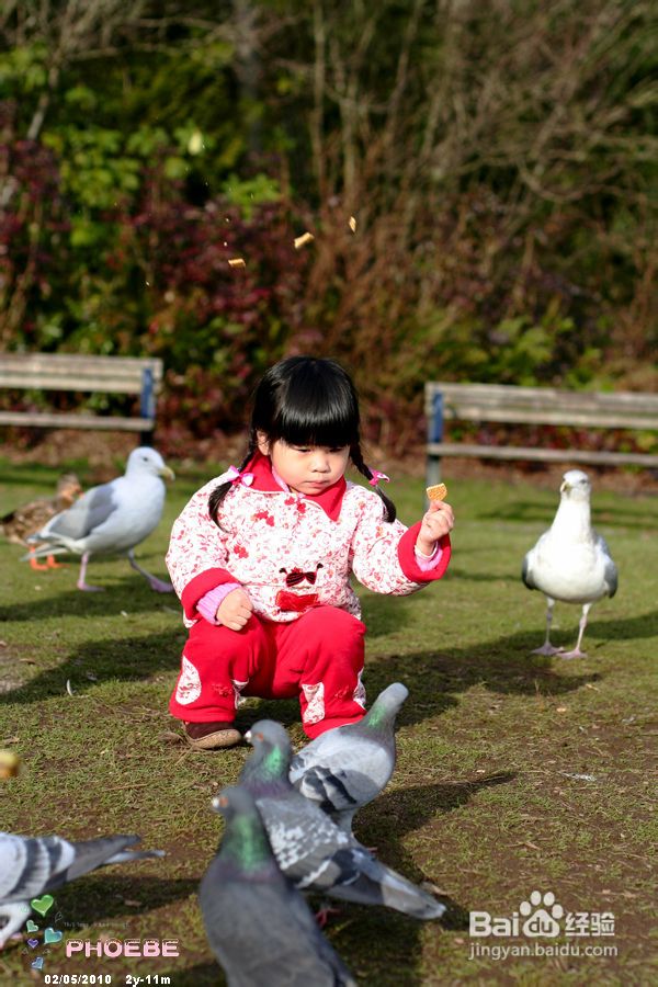棒棒糖女孩和温哥华绿头鸭(组图)