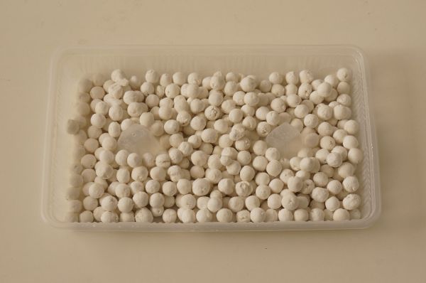 水果甜汤小圆子