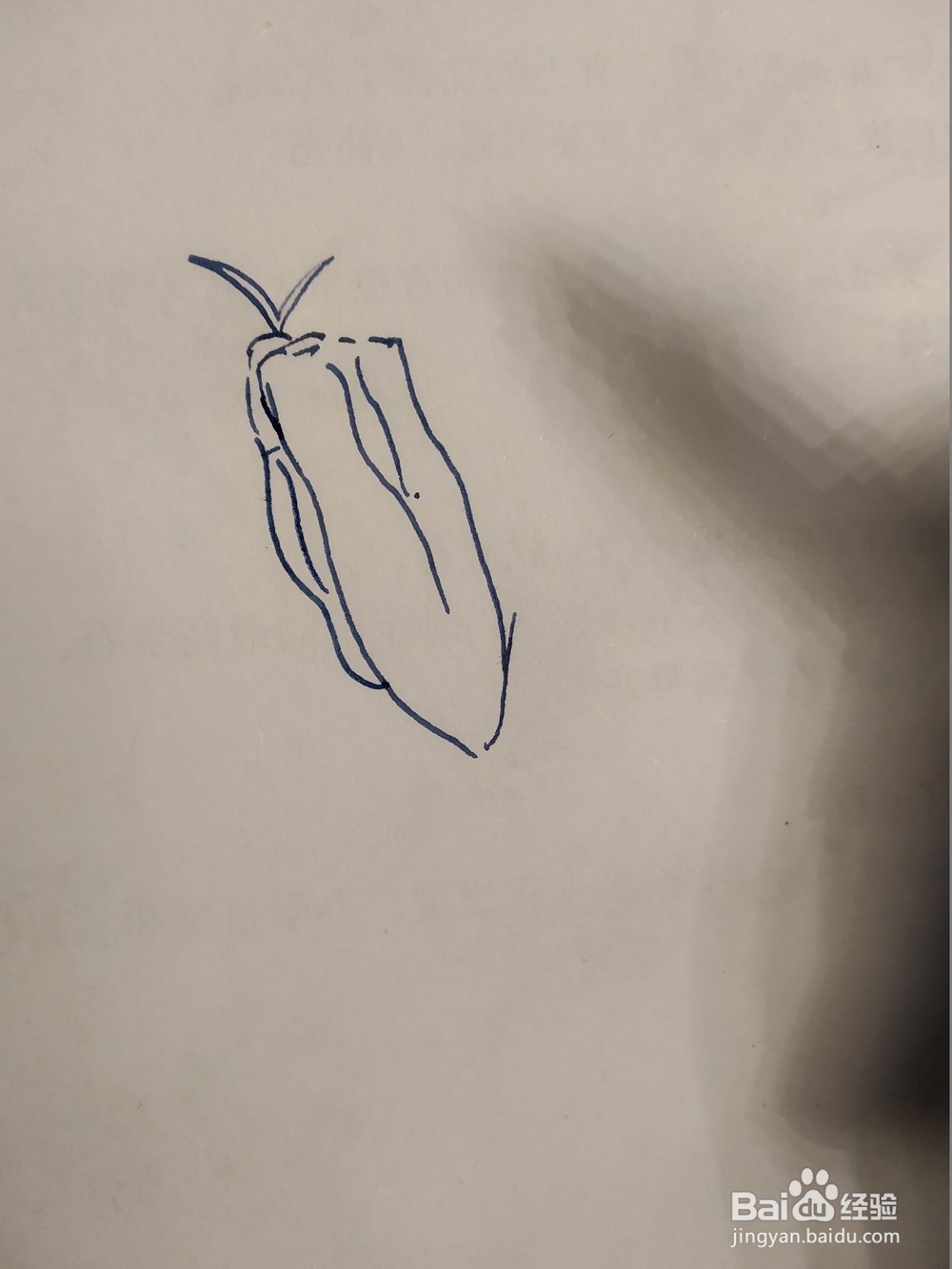 飞蝗的双钩画法