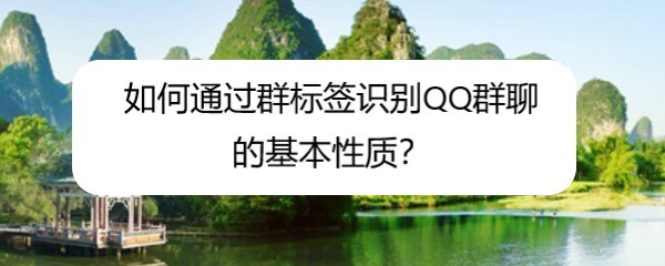 如何通过群标签识别QQ群聊的基本性质