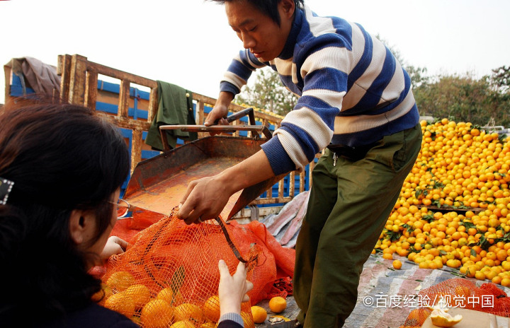 橘子皮在生活中的妙用