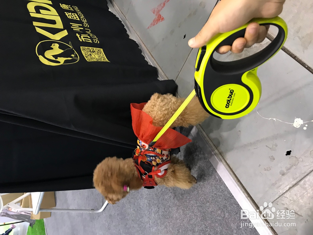 狗狗吃便便是什么原因