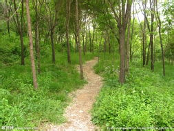 野外迷失方向该怎么办