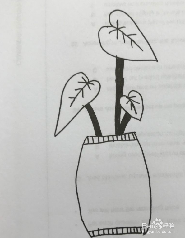 龟背竹简笔画怎么画