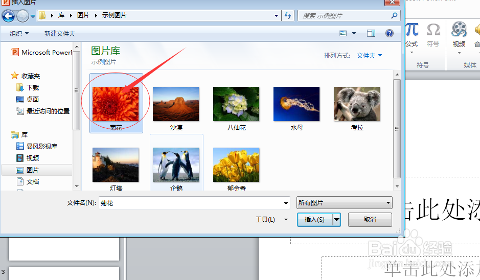如何在PPT中插入图片呢