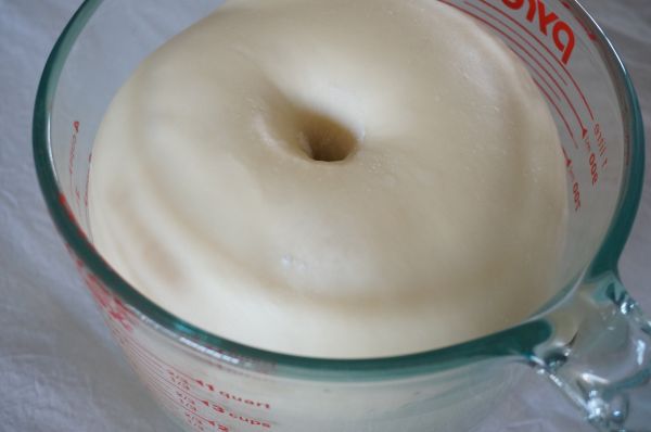 椰香脆底小面包