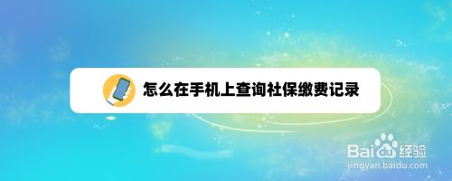 怎么在手机上查询社保缴费记录