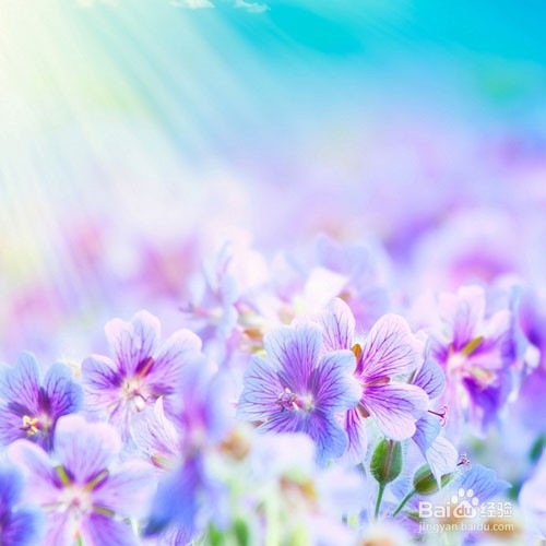 怎么样变成一个特别“会说话的人”