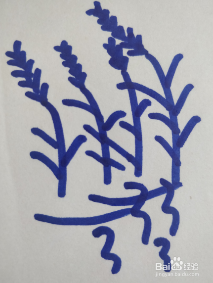 芦苇丛的简笔画怎么画?