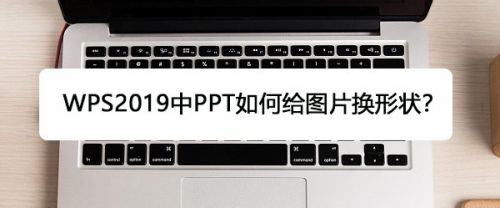 WPS2019中PPT如何给图片换形状?