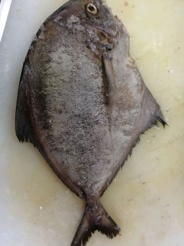 西式香煎斗枪鱼