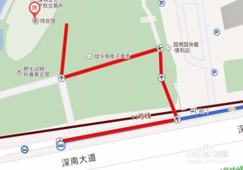 深圳极地文化园怎么走