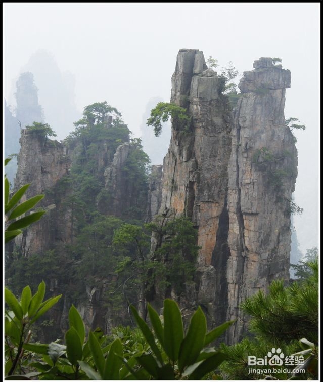 张家界跟团旅游