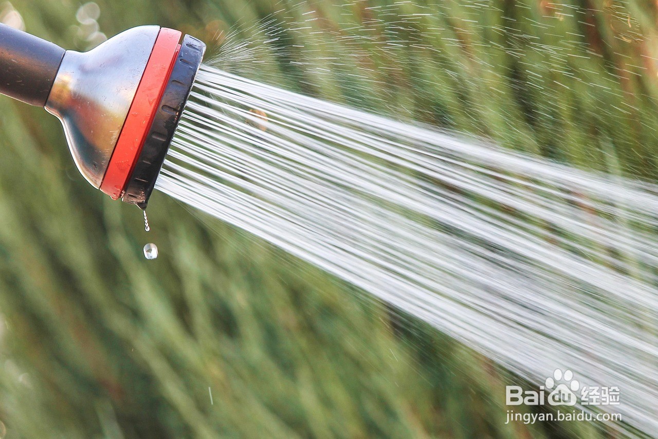 如何更好的预防痔疮