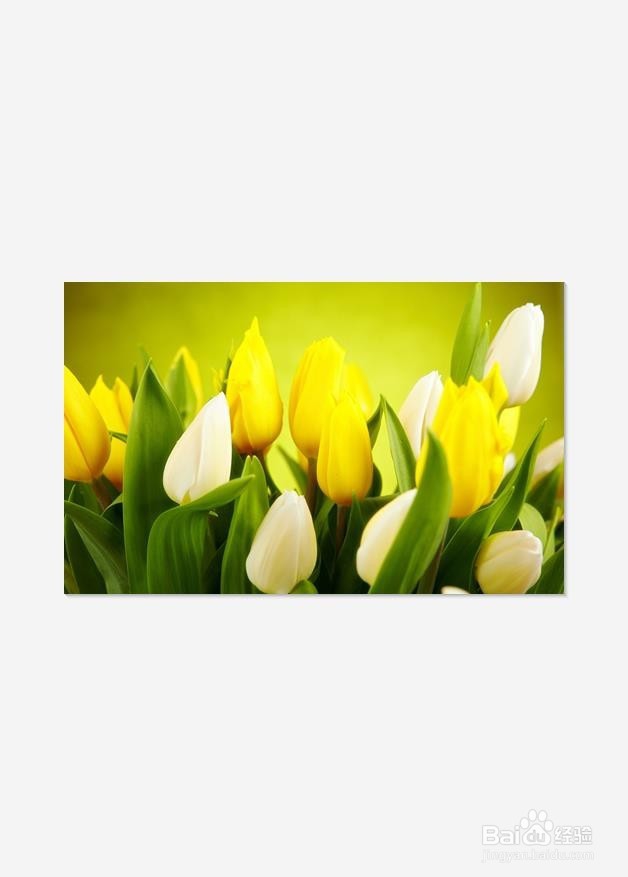 如何更改图片的大小?