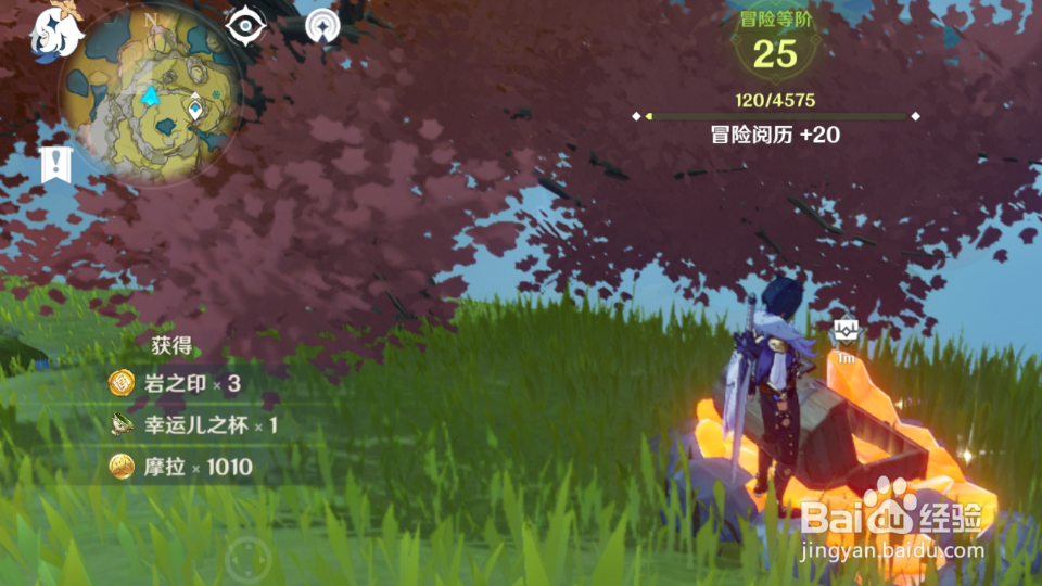 原神琥珀怎么采集