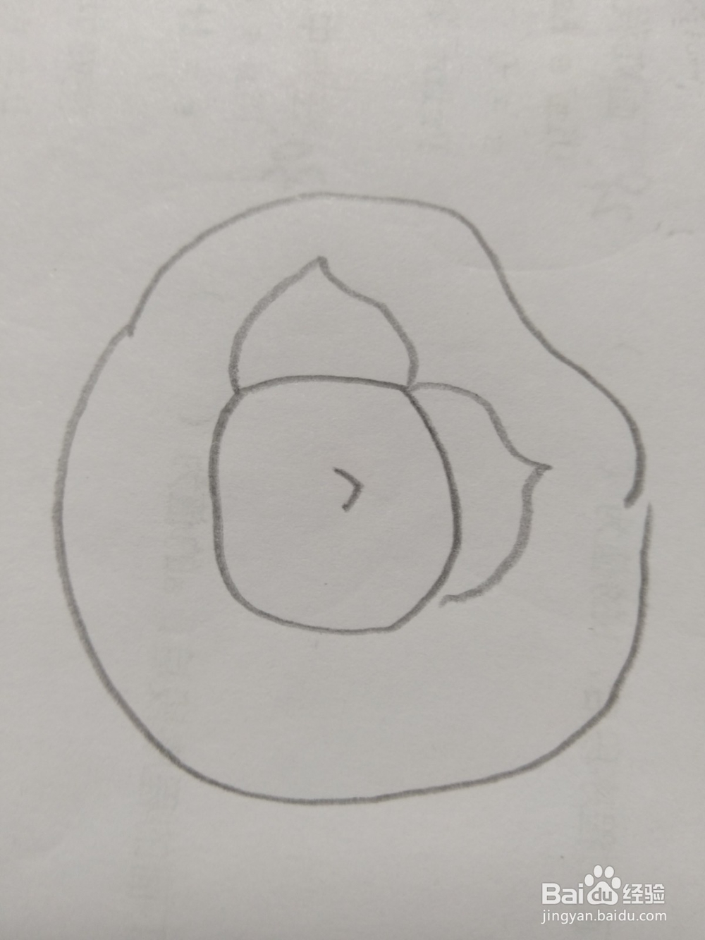 儿童简笔画西红柿的画法2