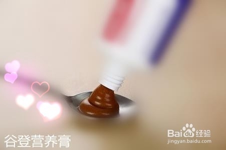 怎样正确喂养牛头梗才能让狗狗健康漂亮?