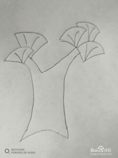 简单的扇子树怎么画