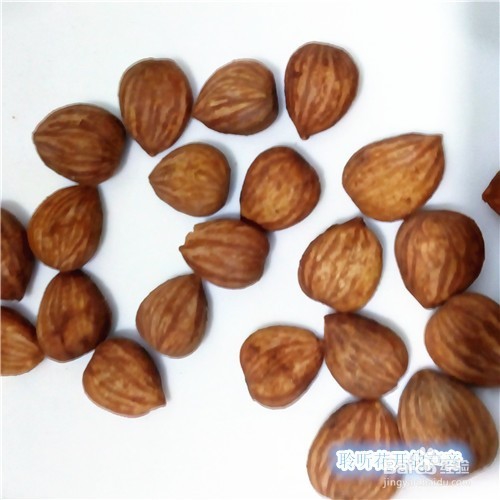 如何用柳叶蒸饺制作老鼠娶亲儿童创意餐