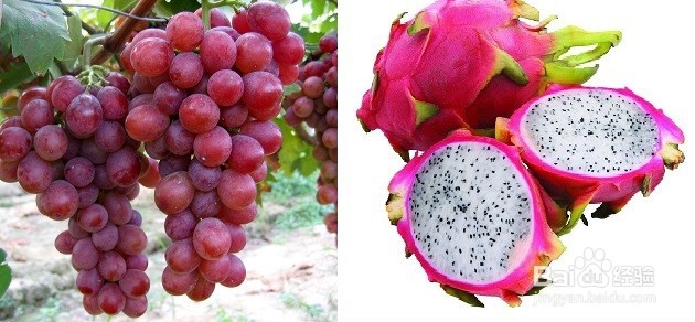 有益健康的天然食材,你知道多少?