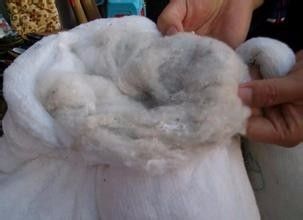 如何辨别棉花的好坏呢?