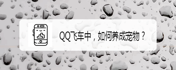 <b>QQ飞车中，如何养成宠物</b>