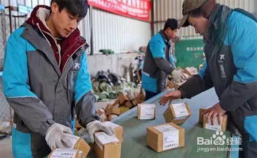 没有快递单号怎样查物流?