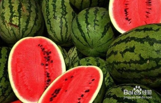 西瓜种植方法与时间