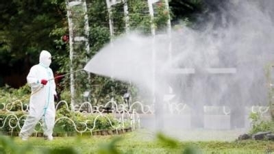 登革热的症状有哪些