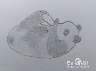 <b>大熊猫画法教程（2）怎么画，如何画大熊猫</b>